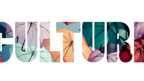 CVO Cultural Competency Blog Post