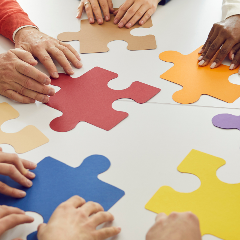 Inclusion Partner RDI Partner Portal - Rainbow Diversity Institute: Equity, Diversity ...