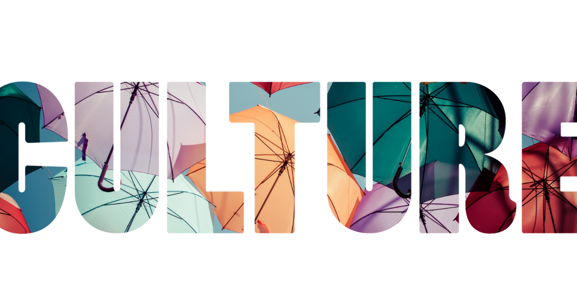 CVO Cultural Competency Blog Post